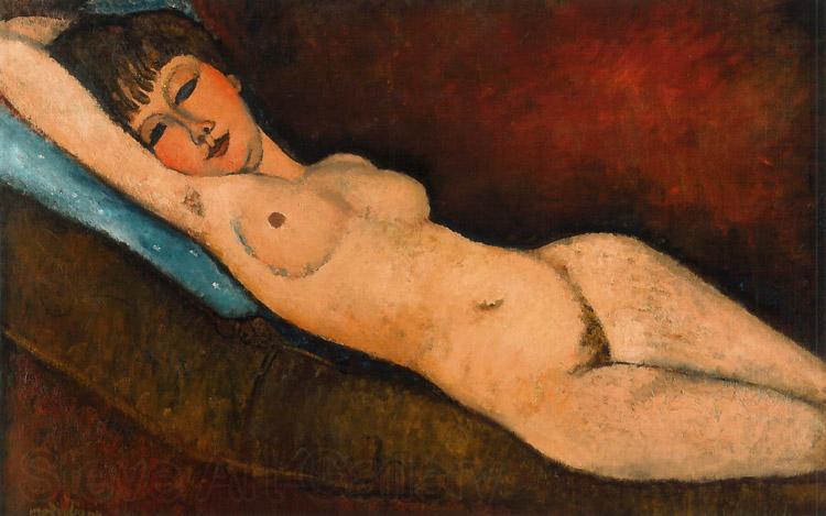 Amedeo Modigliani Reclining Nude on a Blue Cushion (mk39) France oil painting art